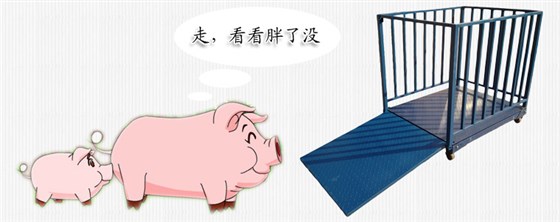 帶圍欄動(dòng)物秤的設(shè)計(jì)都有哪些優(yōu)勢(shì)?