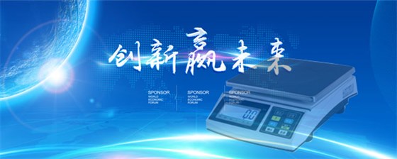 對(duì)電未來子秤開發(fā)的理想性分析