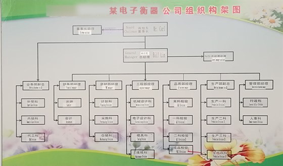 某電子衡器公司規(guī)劃組織構(gòu)架如何布局