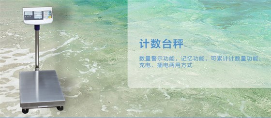計數(shù)臺秤