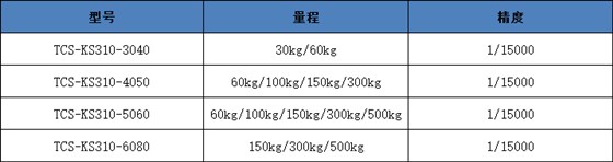 亞津藥廠不銹鋼臺(tái)秤規(guī)格