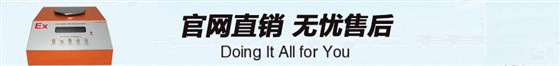 ACS系列防爆電子天平售后服務(wù)