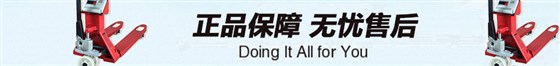 YCS-H1C碳鋼電子叉車秤售后服務(wù)