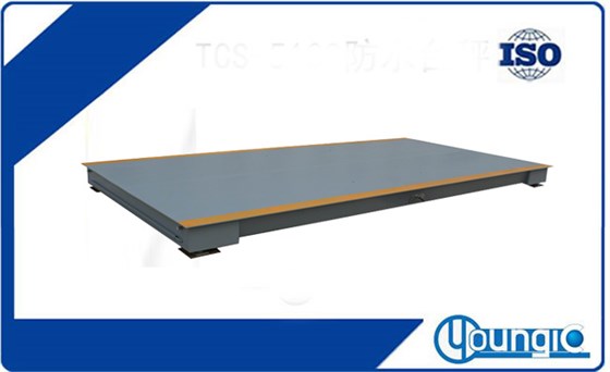 SCS亞津標(biāo)準(zhǔn)式電子汽車衡地磅