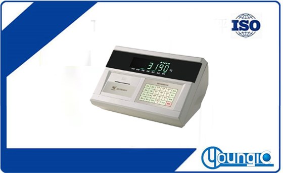 物聯(lián)網(wǎng)稱重顯示器儀表