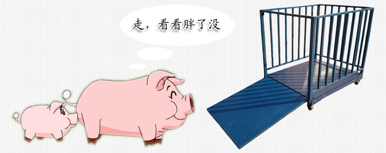 帶圍欄動物秤的設(shè)計都有哪些優(yōu)勢?
