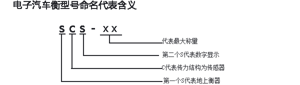 圖2）電子汽車衡型號(hào)命名代表含義