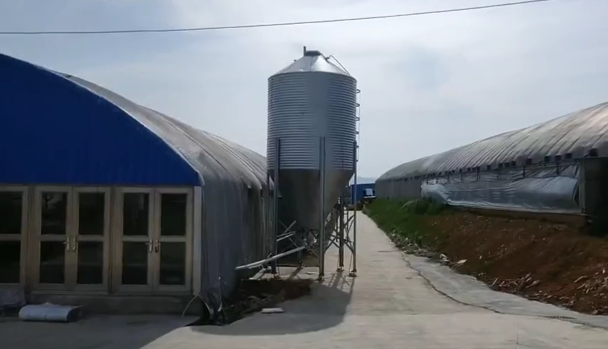 養(yǎng)殖廠標(biāo)配汽車衡飼料稱重料倉(cāng)N+定量自動(dòng)喂料系統(tǒng)