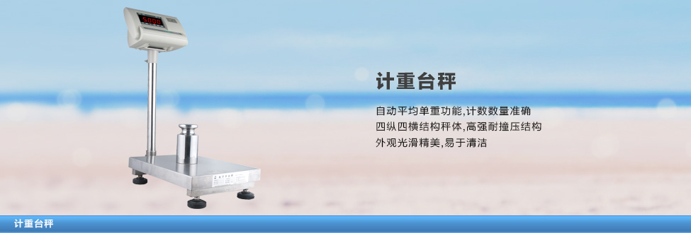 計(jì)重臺(tái)秤