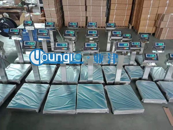 100kg電子秤_100kg電子臺(tái)秤