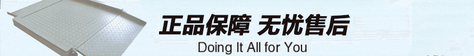 P773 系列超低地磅售后服務(wù)