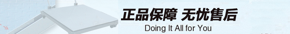 P722 系列手推移動(dòng)地磅售后服務(wù)