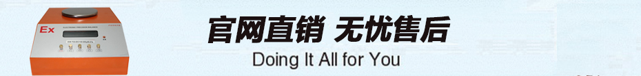 ACS系列防爆電子天平售后服務(wù)