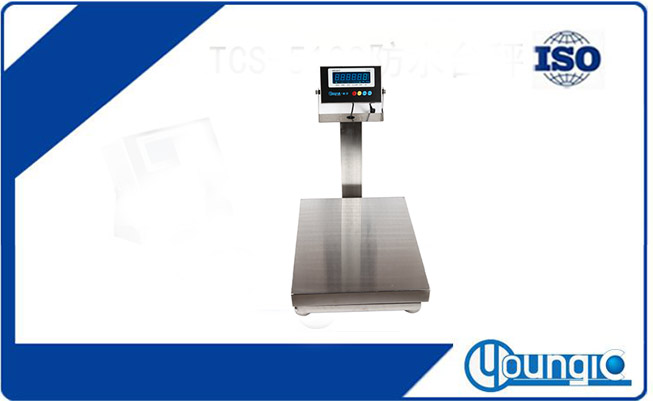 不銹鋼臺(tái)秤-TCS-KS310防水防腐電子秤